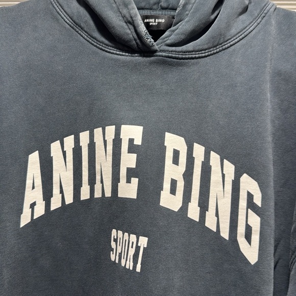 Anine Bing Hoodie - Picture 6 of 6
